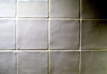 Contrasted Closeup of Enamelled White Kitchen Tiles With Grouting Inbetween
