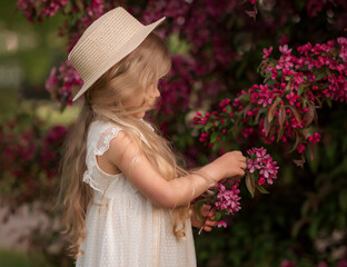 little girl in a straw hat looks at red cherry flowers. Girl with flower. Девочка с цветами