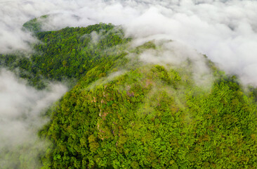 Aerial view Beautiful of morning scenery sea of cloud and the fog flows on high mountains.