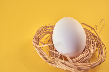 White chicken egg in the nest on a yellow background.