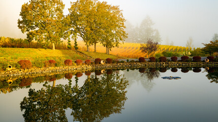 A reflectioon pond and vineyard at a winery near Salem Oregon
