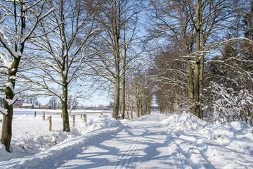 Winter im Münsterland
