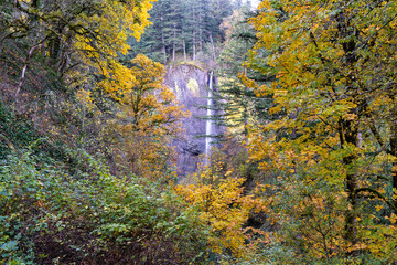 Latorell Falls inthe ColumbiaRiver Gorge National Scenic Area, Oregon