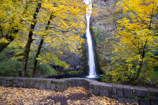 Horizontal image of Horse Tail Falls in the Columbia River Gorge National Scenic Area,Oregon