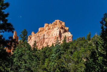 Fototapeta na wymiar sandstone rock behind green trees agains blue sky at sunny day in Bryce canyon national park in Utah, america