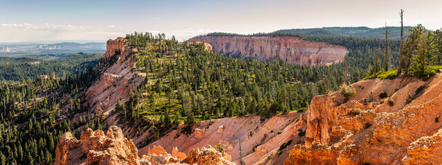 Panorama shot of pink sandstone mountains with green conifers on top in Bryce canyon in Utah,...