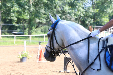 Unknown contestant rides at dressage horse event in riding ground. Head shot close up of a dressage...