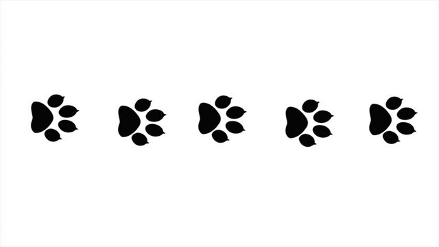Black paw prints of animal on a white background. An abstract backdrop for the writing of the text.