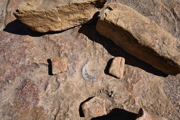 Dinosaur footprint in Torotoro National Park, Torotoro, Bolivia © RaquelMogado