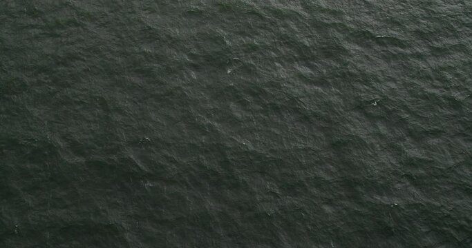 The Baltic Sea