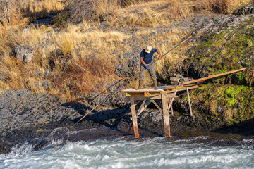 A native American Indian man fishing for salmon in the Deschutes River Rapids at Shearers Bridge with a dip net from a wooden platform, near Tygh Valley Oregon