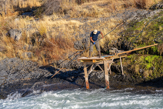 A Native American Indian Man Fishing For Salmon In The Deschutes River Rapids At Shearers Bridge With A Dip Net From A Wooden Platform, Near Tygh Valley Oregon