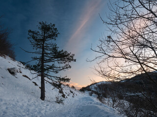 Mountain trail full of snow at sunset.