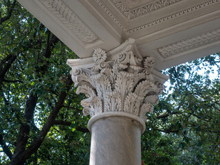 Corinthian capital decorated with acanthus leaves and scrolls - 416848525