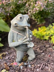 frog in the garden