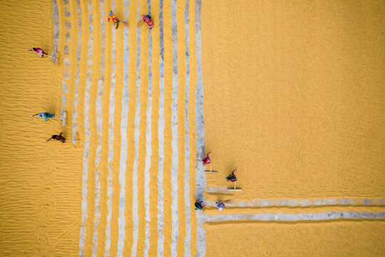 Aerial view of farmers working on field drying rice during the day, Dhamrai, Dhaka, Bangladesh.
