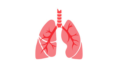 Lungs animation 
