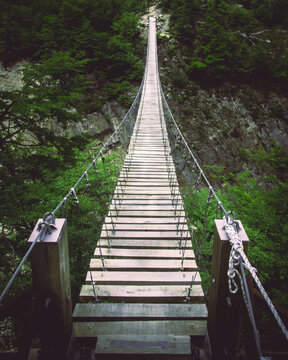 Fototapeta bridge over the river