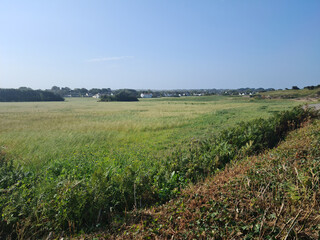 Fototapeta premium Guernsey Channel Islands, Vale Fields