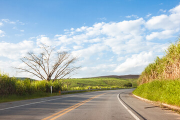 Peaceful way to heaven