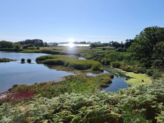 Guernsey Channel Islands, Vale Pond