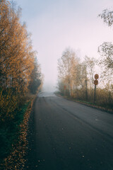 Road in the fog