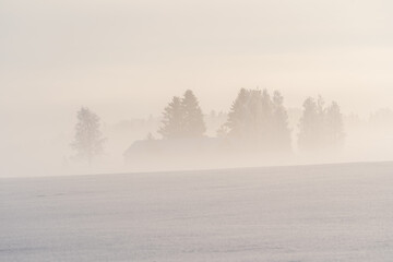 Obraz na płótnie Canvas Foggy winter silhouette