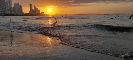 Beatiful Cartagena  © Luisa