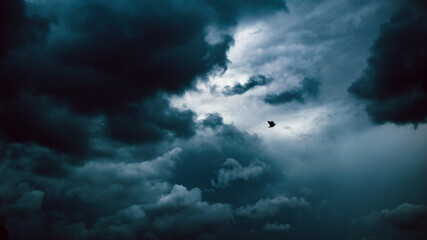 Obraz na płótnie Canvas Bird flying throught the clouds 