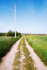 Fototapeta na wymiar Straight dirt road and telephone poles on countryside field, sunny blue sky background, copy space, vertical