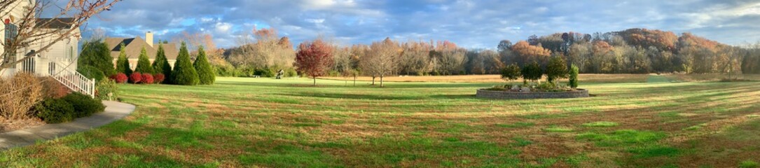 Morning sunny panorama in large backyard