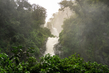 Plakat Bonito paisaje en Mexico con cascadas