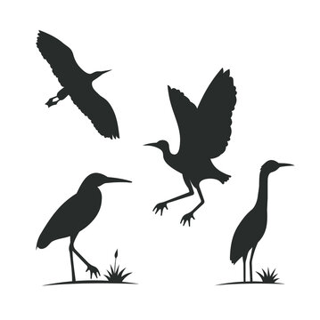 illustration of a flock of cranes birds.