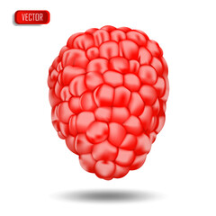 Appetizing fresh raspberries isolated on a white background. Realistic vector illustration