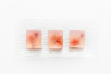 桜色のゼリー　Japanese sweets spring cherry jelly 