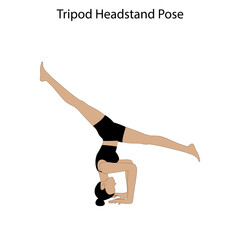 Tripod headstand pose yoga workout. Healthy lifestyle vector illustration