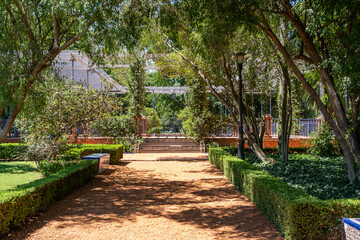 Orange brick stone path in the park with trees and privet on the sides.