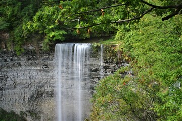 Fototapeta na wymiar Tew Falls -- tall ribbon waterfall, in Hamilton Ontario