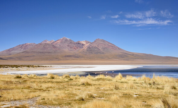 Beautiful landscape view along the Laguna Hedionda, Salar de Uyuni, Bolivia