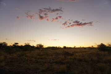 ピンク色の夕焼け空
