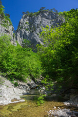 Fototapeta na wymiar The Grand Canyon of the river Auzun-Uzen, Crimea.
