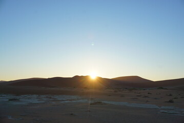 ナミブ砂漠のデッドフレイ 