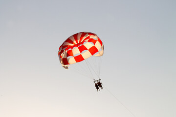 Paraglider soaring over the seashore