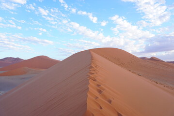 Fototapeta na wymiar ナミビアの砂漠デューネ 45