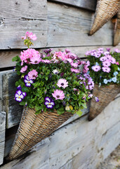 wall flower baskets