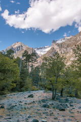 arboleda en las monta&ntilde;as