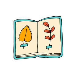 Herbarium. Dried leaves in a book. Vector hand drawn doodle illustration.