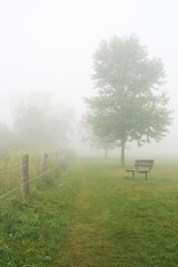 mist morning