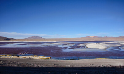 Beautiful landscape sceneries on Laguna Colorada, Salar de Uyuni, Bolivia 
