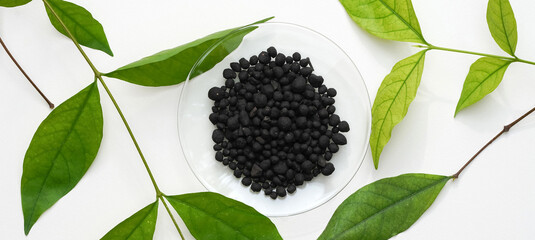 Bat manure in Chemical Watch Glass and Wrightia religiosa branch on white laboratory table. (Top...